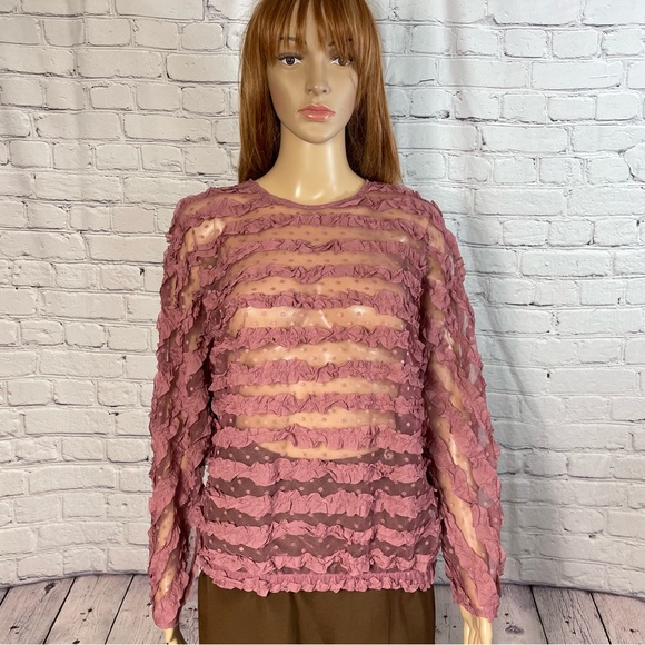NWT New Zara Frill Ruffled Tulle Blouse Size S - Picture 4 of 12
